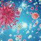 Herpes Virus nel cane