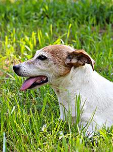 milli_di_albascura Milly Di Albascura